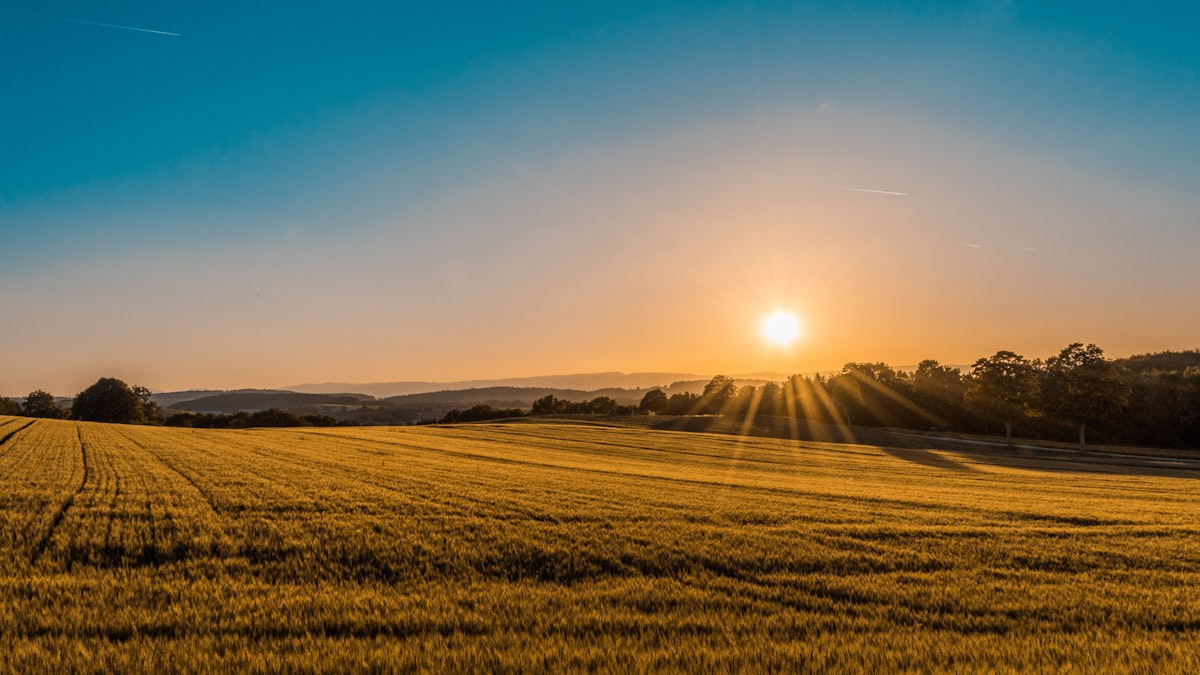 Campo agrícola al atardecer, sector agro atendido por Infinity Rotomolding